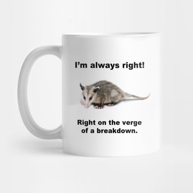I'M ALWAYS RIGHT! by Existential's Store